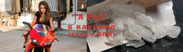 прущий лед Алзамай
