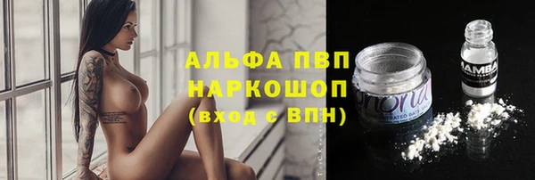 индика Гусь-Хрустальный