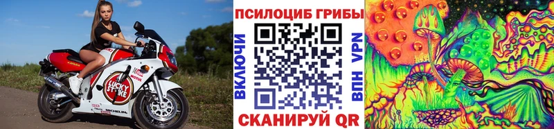 Псилоцибиновые грибы ЛСД наркошоп Чехов