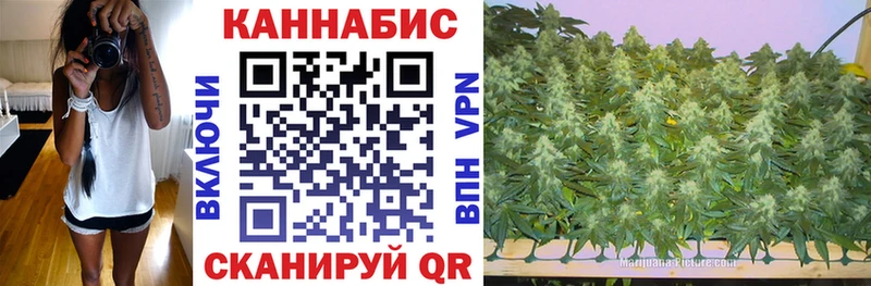 как найти закладки  Чехов  darknet телеграм  Бошки Шишки планчик 